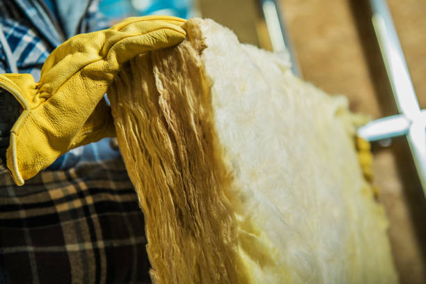 Best Attic Insulation Near Me  in Kearney Park, MS