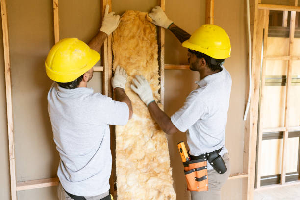 Best Insulation Contractor Near Me  in Kearney Park, MS